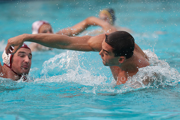 Collegiate Men's Water Polo: California Golden Bears vs Stanford Cardinals