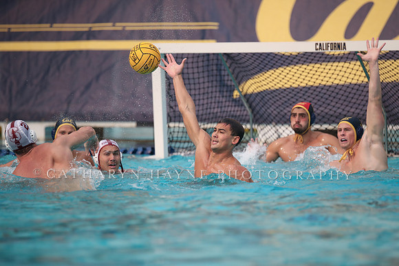 Collegiate Men's Water Polo: California Golden Bears vs Stanford Cardinals