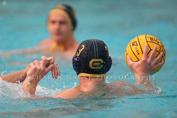 Collegiate Men's Water Polo: California Golden Bears vs Stanford Cardinals