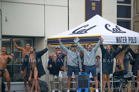 Collegiate Men's Water Polo: California Golden Bears vs Stanford Cardinals