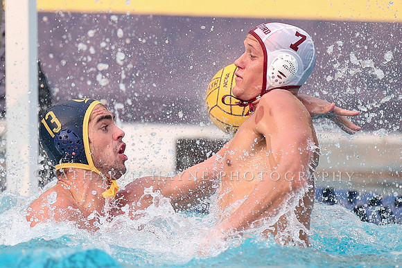 Collegiate Men's Water Polo: California Golden Bears vs Stanford Cardinals