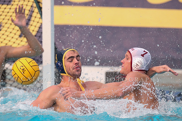 Collegiate Men's Water Polo: California Golden Bears vs Stanford Cardinals
