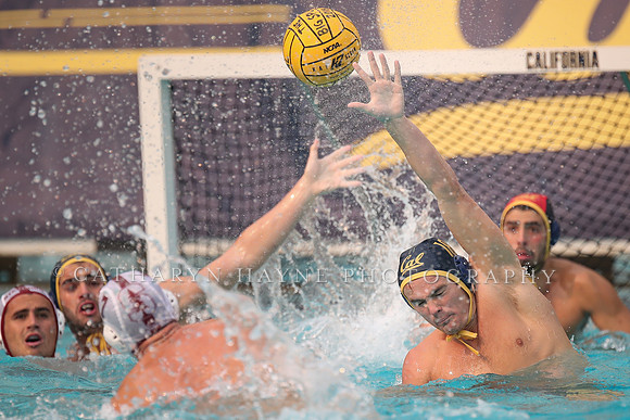 Collegiate Men's Water Polo: California Golden Bears vs Stanford Cardinals