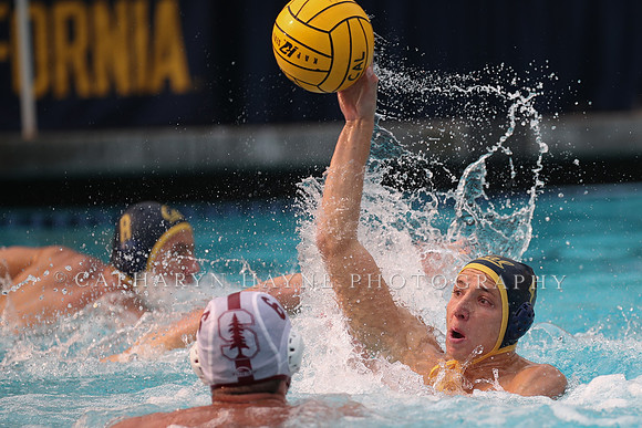 Collegiate Men's Water Polo: California Golden Bears vs Stanford Cardinals