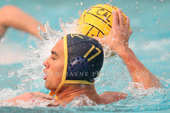 Collegiate Men's Water Polo: California Golden Bears vs Stanford Cardinals
