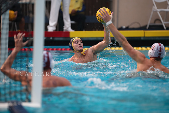 Collegiate Men's Water Polo: California Golden Bears vs Stanford Cardinals