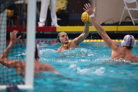 Collegiate Men's Water Polo: California Golden Bears vs Stanford Cardinals