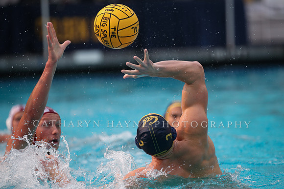 Collegiate Men's Water Polo: California Golden Bears vs Stanford Cardinals