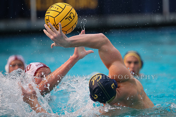 Collegiate Men's Water Polo: California Golden Bears vs Stanford Cardinals