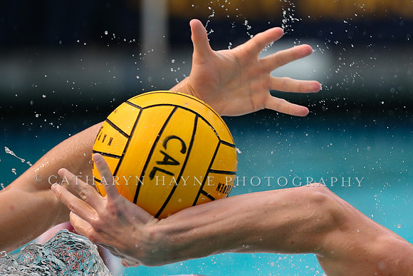 Collegiate Men's Water Polo: California Golden Bears vs Stanford Cardinals