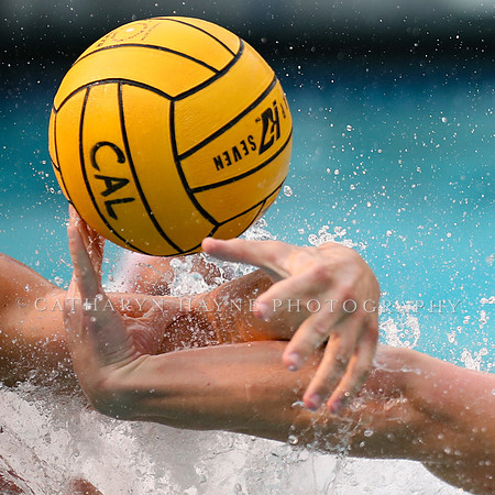 Collegiate Men's Water Polo: California Golden Bears vs Stanford Cardinals
