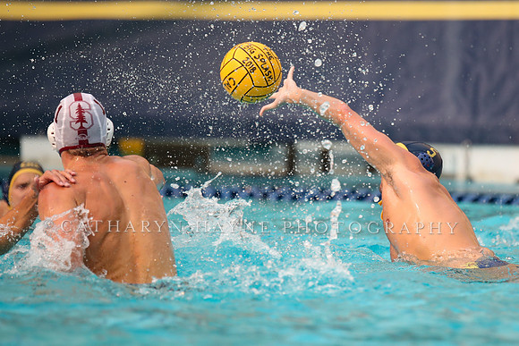 Collegiate Men's Water Polo: California Golden Bears vs Stanford Cardinals