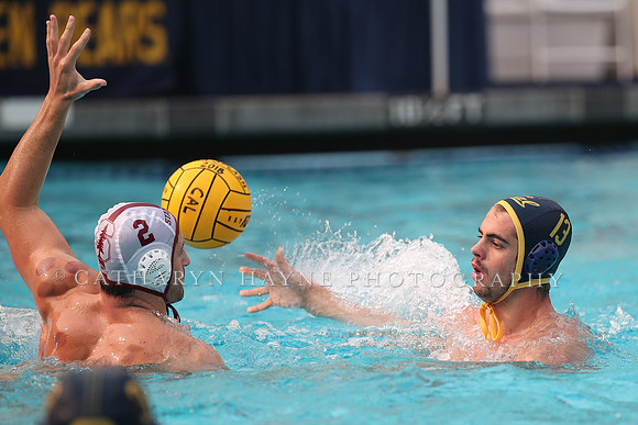 Collegiate Men's Water Polo: California Golden Bears vs Stanford Cardinals
