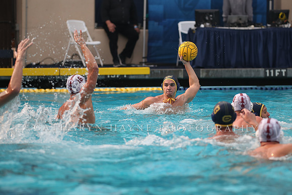Collegiate Men's Water Polo: California Golden Bears vs Stanford Cardinals