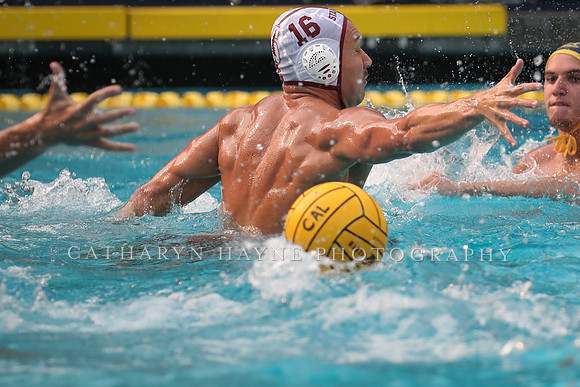 Collegiate Men's Water Polo: California Golden Bears vs Stanford Cardinals