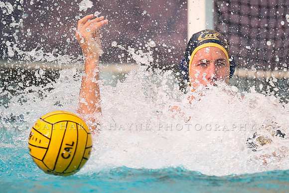 Collegiate Men's Water Polo: California Golden Bears vs Stanford Cardinals