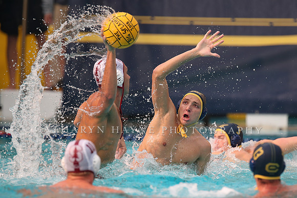 Collegiate Men's Water Polo: California Golden Bears vs Stanford Cardinals