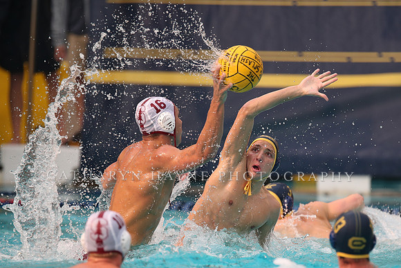 Collegiate Men's Water Polo: California Golden Bears vs Stanford Cardinals