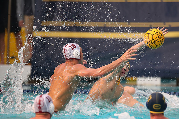 Collegiate Men's Water Polo: California Golden Bears vs Stanford Cardinals