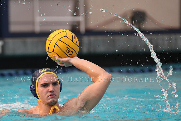 Collegiate Men's Water Polo: California Golden Bears vs Stanford Cardinals