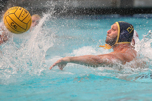 Collegiate Men's Water Polo: California Golden Bears vs Stanford Cardinals