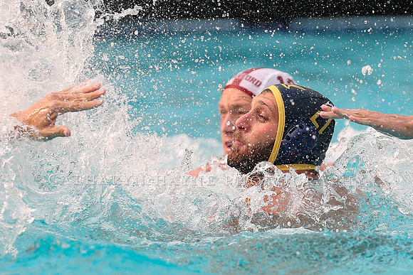 Collegiate Men's Water Polo: California Golden Bears vs Stanford Cardinals