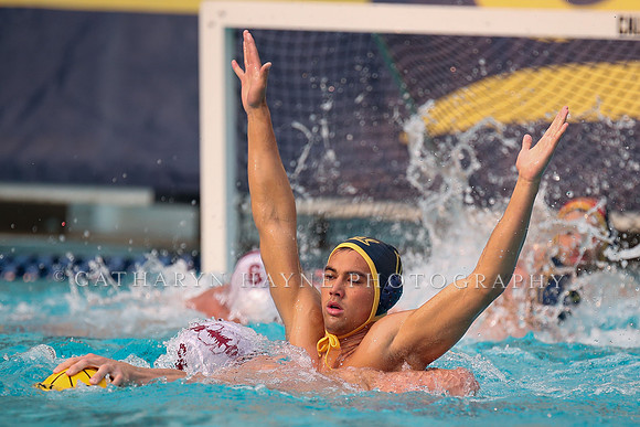 Collegiate Men's Water Polo: California Golden Bears vs Stanford Cardinals
