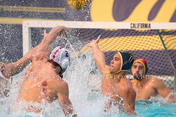 Collegiate Men's Water Polo: California Golden Bears vs Stanford Cardinals
