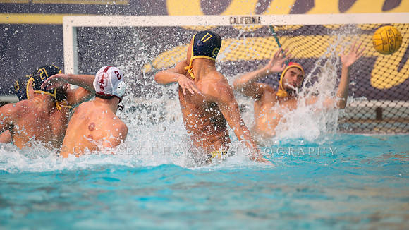 Collegiate Men's Water Polo: California Golden Bears vs Stanford Cardinals