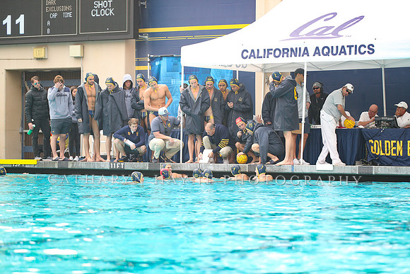 Collegiate Men's Water Polo: California Golden Bears vs Stanford Cardinals