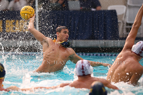 Collegiate Men's Water Polo: California Golden Bears vs Stanford Cardinals