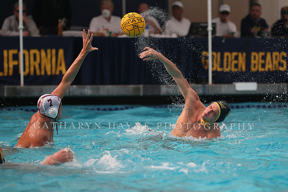 Collegiate Men's Water Polo: California Golden Bears vs Stanford Cardinals