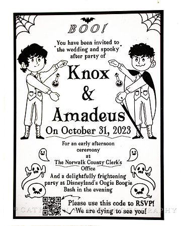 Knox and Amadeus