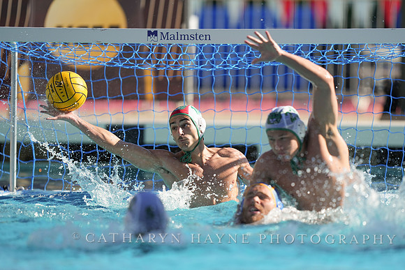 MWP: Salem University Tigers vs UCLA Bruins