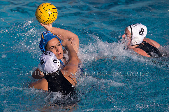 Cal vs SJSU at California Speedo Cup