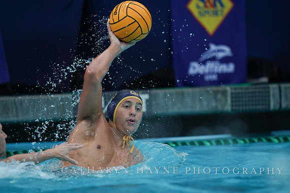 Nik Mirkovic