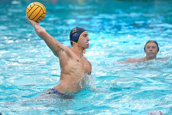 Nik Mirkovic