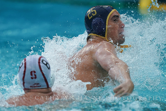 William Kelly
