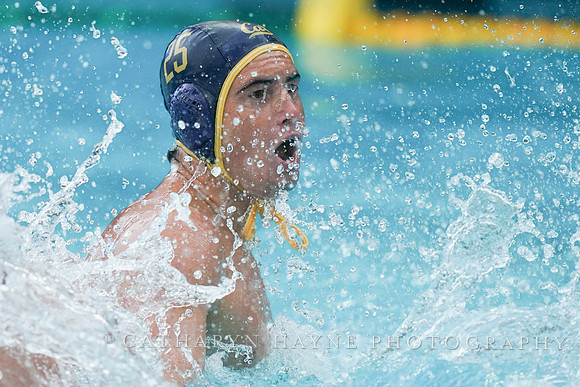 William Kelly