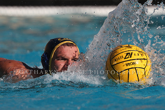 Collegiate Mens Water Polo: MPSF Invitational: California Golden Bears vs UC Santa Barbara Gauchos