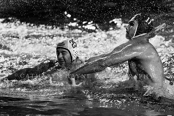Collegiate Men's Water Polo:NCAA Semi Finals: USC vs UCLA