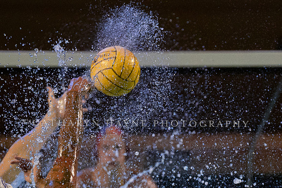Collegiate Men's Water Polo:NCAA Semi Finals: USC vs UCLA