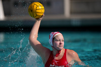 Emily Scheerer