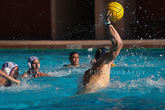 Collegiate Mens Water Polo: MPSF Invitational: California Golden Bears vs UC Santa Barbara Gauchos
