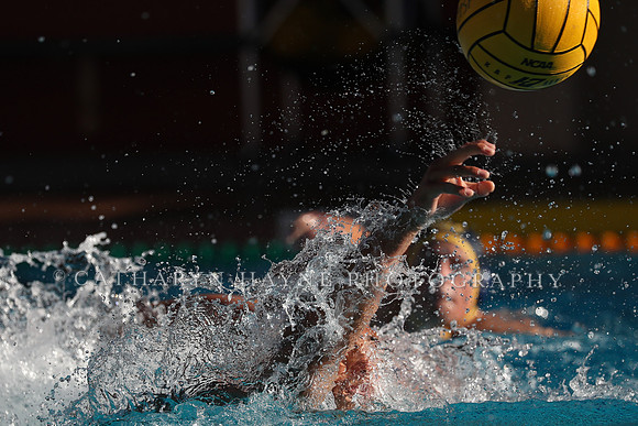Collegiate Mens Water Polo: MPSF Invitational: California Golden Bears vs UC Santa Barbara Gauchos