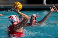 Emily Scheerer