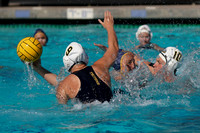 Collegiate Women's Water Polo: Barbara Kalbus Invitational: California Golden Bears vs UC San Diego Tritons