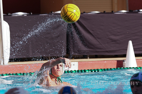 MWP: Salem University Tigers vs UCLA Bruins