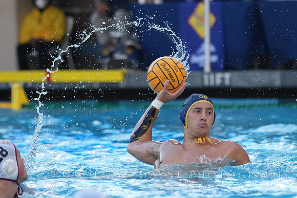 Nik Mirkovic