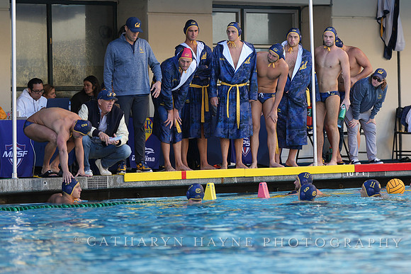 Team
